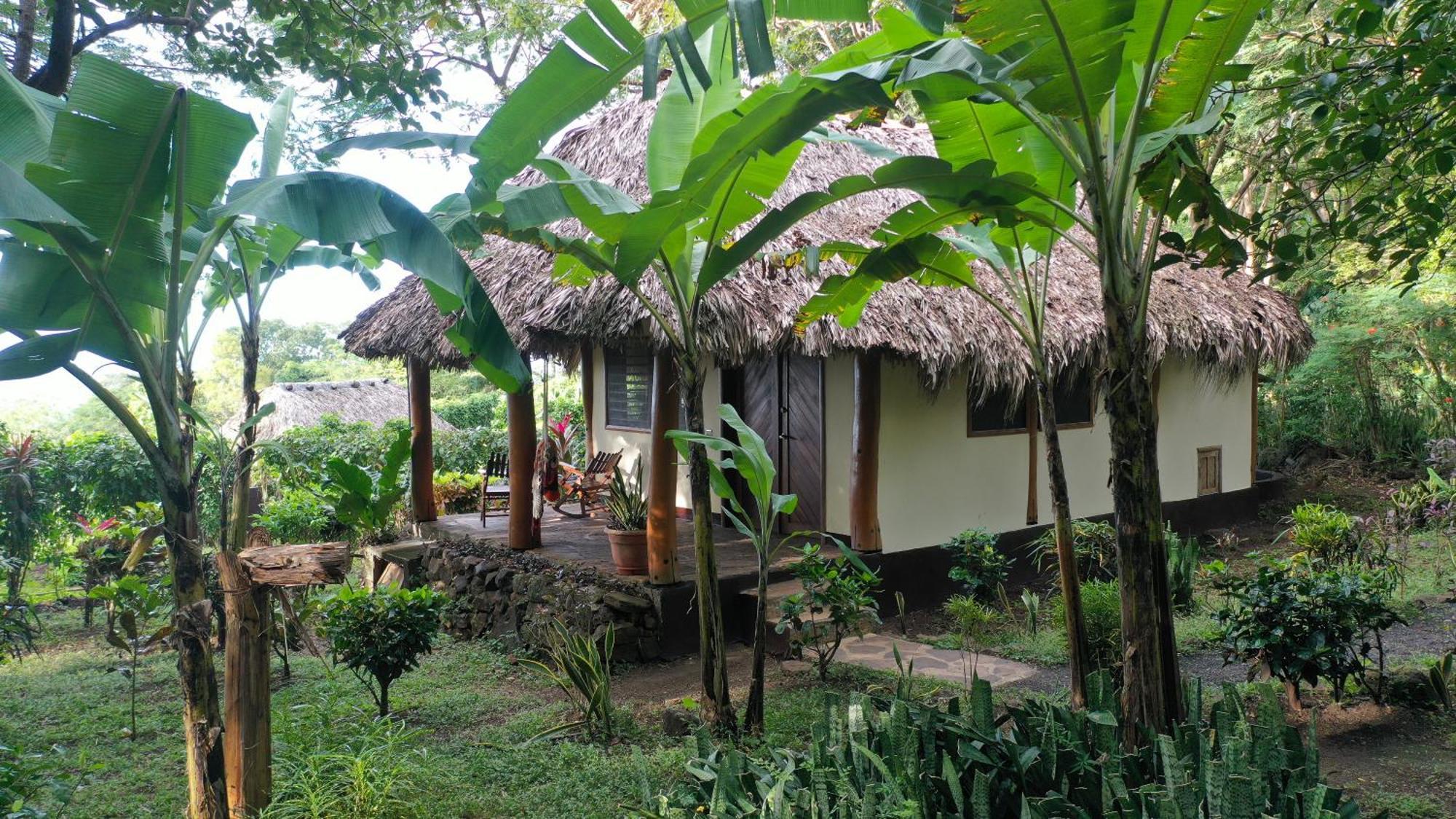 Totoco Eco Resort Бальге Экстерьер фото